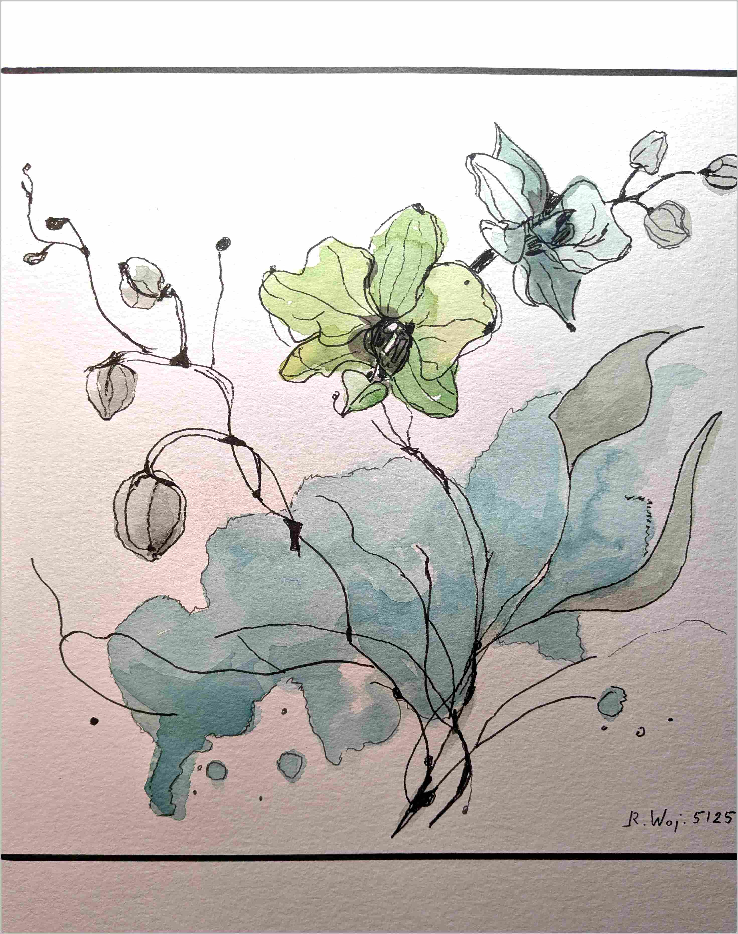 Blueten und Samen